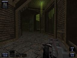 Survival shot