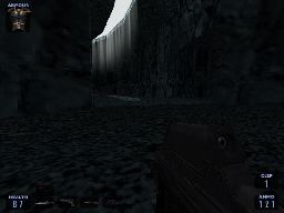 Survival shot