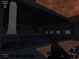 Survival shot