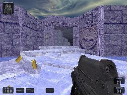 Survival shot